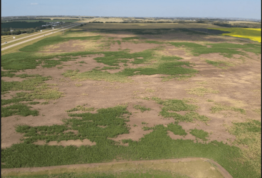 Aerial view of a vast agricultural landscape featuring patches of green vegetation amidst brown soil, with a highway visible in the distance.